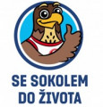 se_sokolem