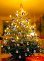 storkspf2010