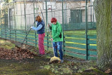 221112uklid_1h